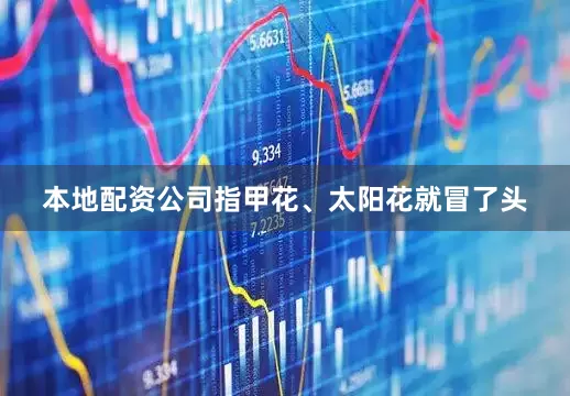 本地配资公司指甲花、太阳花就冒了头