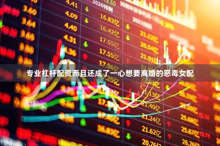 专业杠杆配资而且还成了一心想要离婚的恶毒女配
