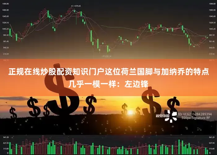 正规在线炒股配资知识门户这位荷兰国脚与加纳乔的特点几乎一模一样：左边锋